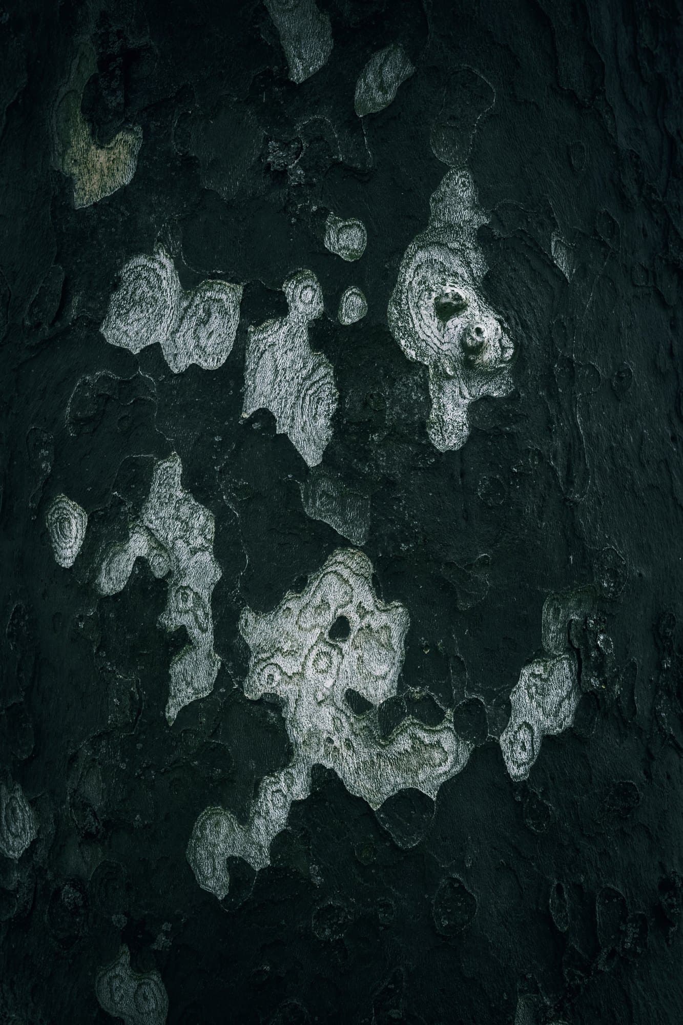 Deep teal artisan texture